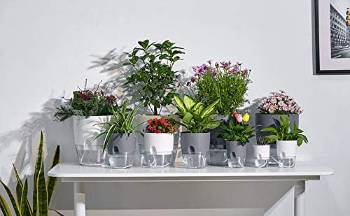 Self Watering Planter for Indoor Plants, 2 Pack 9.3 Inch Flower Pot Modern Decorative Plastic Planter with Extra Large Water Storage for All House Plants, Flowers, Herbs(White)