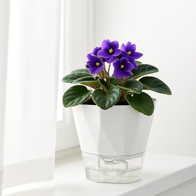 5 Pack Self Watering Pots for Indoor Plants, 5/6.7/8.4 Inches Self Watering Planters African Violet Self Watering Clear Pots for Plants Herb Orchid Flower Houseplant Pots, White