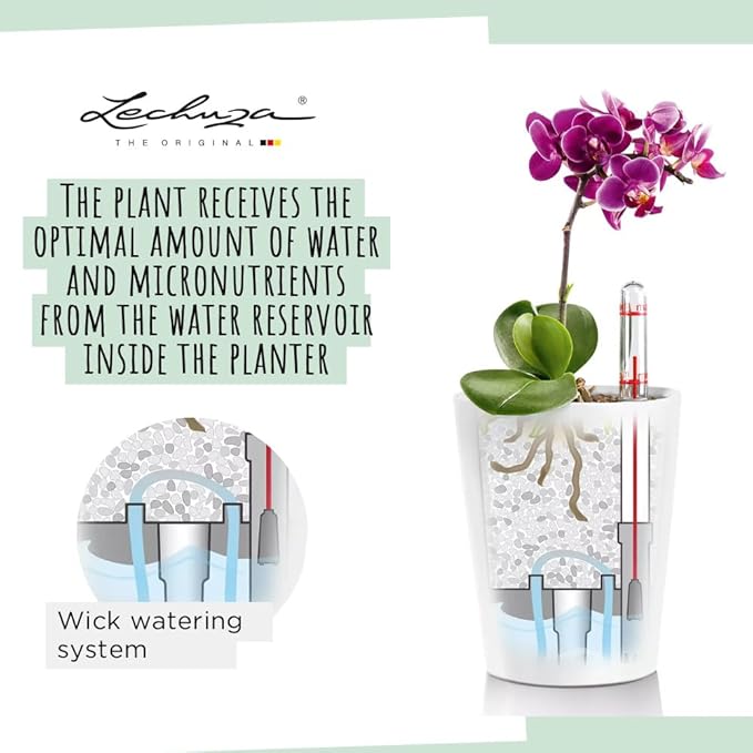 Lechuza 14900 Deltini Self-Watering Planter for Indoor and Outdoor Use, 6" x 6" x 7", White