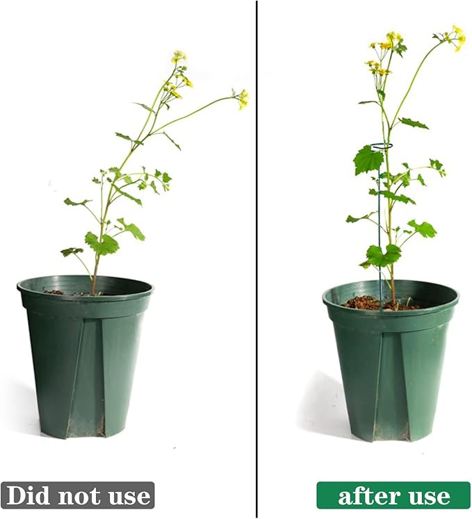 4 Pack Plant Stakes,Plant Support Stakes for Two Sizes(16 or 32 Inches),Plant Stakes for Outdoor Plants,Garden Flower,Tomato(Green)