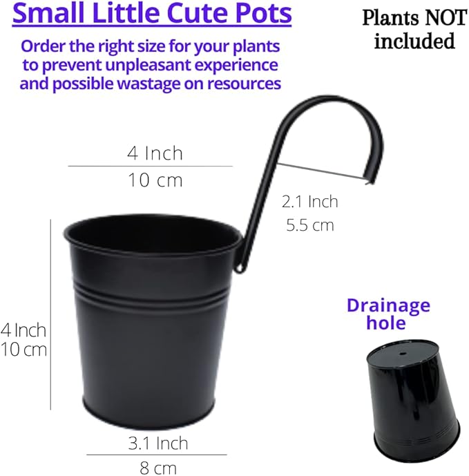 LaLaGreen Small Hanging Planters - 10 Pack, 4 Inch Black Metal Bucket Small Flower Pots for Outdoor Outside, Balcony Railing Hanging, Cute Garden Decor Rail Wall Farmhouse Rustic Deck Porch Succulent