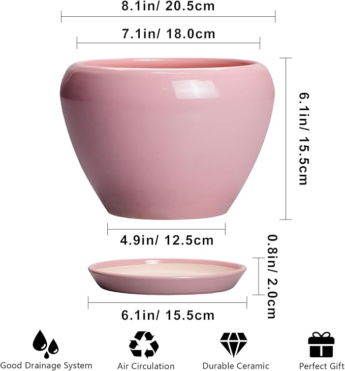 Ceramic Modern Glaze Succulent Planter Pot with Drainage Hole and Saucer 8 Inch Round Flower Plant Pot for Indoor Outdoor Herb Snake Plants, Pink