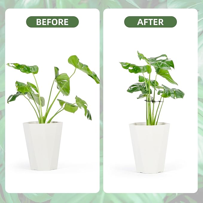 6PCS Iron Monstera Plant Support, Uniquely Designed Indoor Plant Accessories, Stable Plant Support Stakes for Indoor Plant, Turtle Shell Bamboo Clamp Set for Thriving Growth