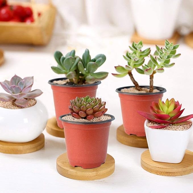 100 Pcs 3.5 Inch Plastic Seedlings Plants,Nursery Pots,Seed Starting Pot for Succulents, Seedlings, Cuttings, Transplanting