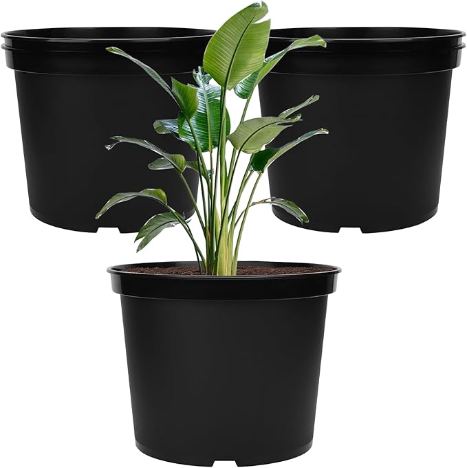 GREANER 5 Gallon Pots for Plants, 5PCS Black Nursery Pots with Drainage Holes, Plastic Seed Starting Container for Succulents, Flowers, Tomatoes, Seedlings