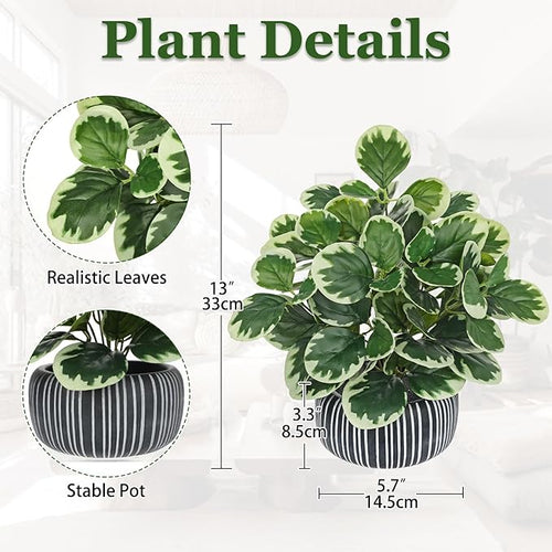 13" Artificial Plants Indoor Small Fake Plant in Ceramic Pot, Silk Plants for Home Decor Indoor, Faux Peperomia Potted Plant for Shelves, Desks, Home, Room, Office, Bedroom, Entryway, Tabletop Decor