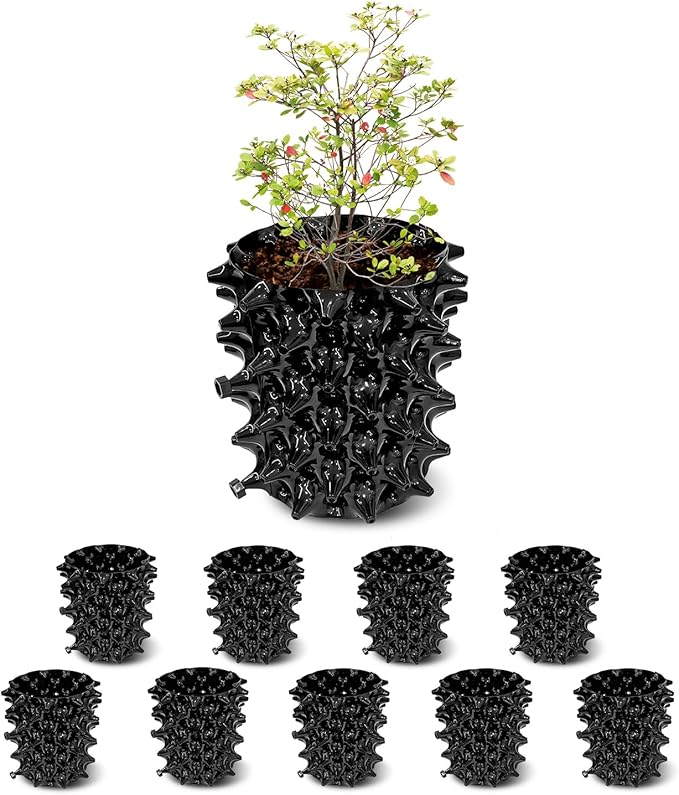 phoenix vine self watering planter Phoenix Vine 6 Inch Self Watering Planter Pot, Design White Terracotta – SunnySprout