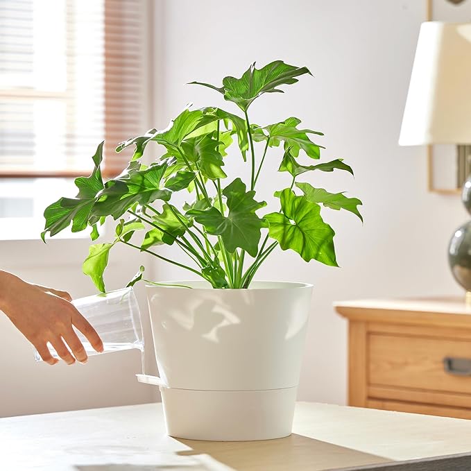 FaithLand 2-Pack 10 Inch Planter Pots for Indoor Outdoor Plants, Self Watering Flower Pots with Deep Reservoir, White …