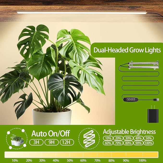 Plant Stand Indoor with Grow Lights, Hanging Plant Stand Plant Shelf Indoor, 65'' Tall Plant Stands Plant Holders for Indoor Plants, Living Room, Bedroom, Balcony