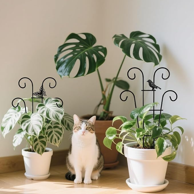Coomin 14.5 Bird Indoor Plant Trellis for Potted Plants, Small Metal House Plant Trellis for Climbing Plants, Climber Plant Support for Hoya Pothos Ivy, 2p