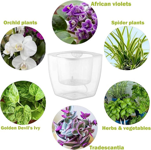 12-Pack Clear Self Watering Planters for Indoor Plants 7" Large African Violet Plant Pots Plastic Wick Flower Pots with Water Injection Hole, Orchid Plant Pot Set, Clear