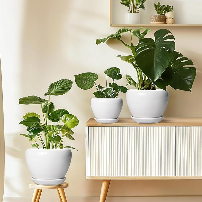 Ceramic Pot for Plants - 10 Inch Planter with Drainage Hole and Saucer, Glaze Modern Round Flower Pot for Indoor Plants, Housewarming Gift, Home Decor, White