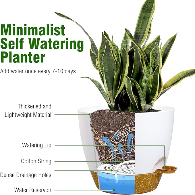 Large Self Watering Pots, 12/10/9 Plastic Planters with High Drainage Holes and Deep Reservoir for Indoor Outdoor Garden Plants and Flowers, White with Brown