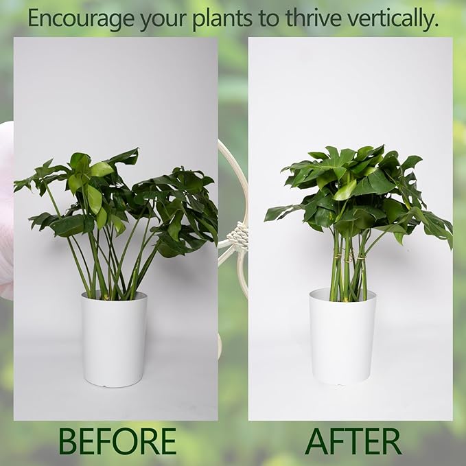 Durable Monstera Plant Support Hooks 5.5in - 5-Piece Set for Indoor Plant Stabilization, Easy-to-Use Grapple Holders for Monstera and Turtle Shell Plants for Plant Lovers