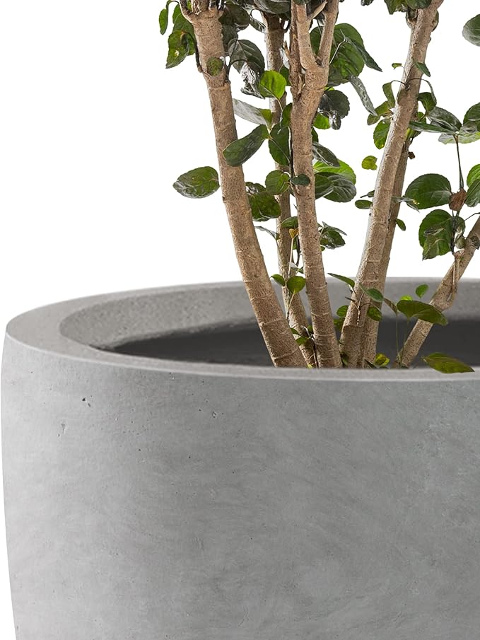 Kante 13.4" Dia Round Concrete Planter, Large Outdoor Modern Indoor Decorative Plant Pots with Drainage Hole and Rubber Plug for Home and Garden, Natural Concrete