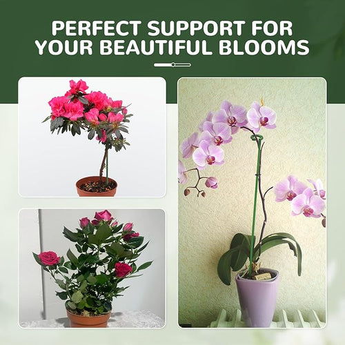 15-Pack Adjustable Plant Support Stakes with Movable Clips, 3-Size(6.7/10.6/14.6in) Green Garden Stakes for Potted Plants Indoor Outdoor, Orchid Tomato Rose Single Stem Support, Sturdy & Reusable