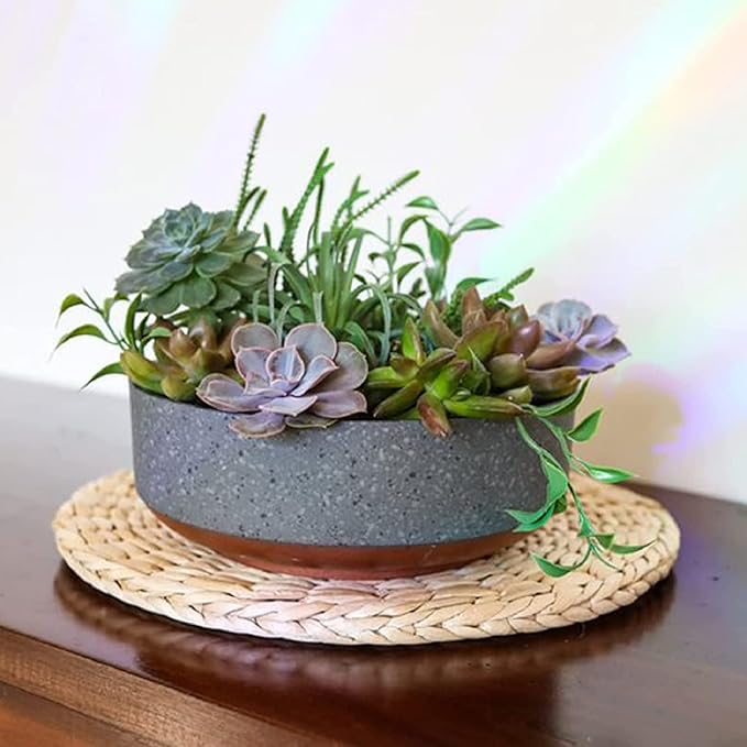 The HC Companies 8 Inch Round Plastic Succulent Capri Bowl 8"x8"x3" in Faux Concrete Color with Copper Band