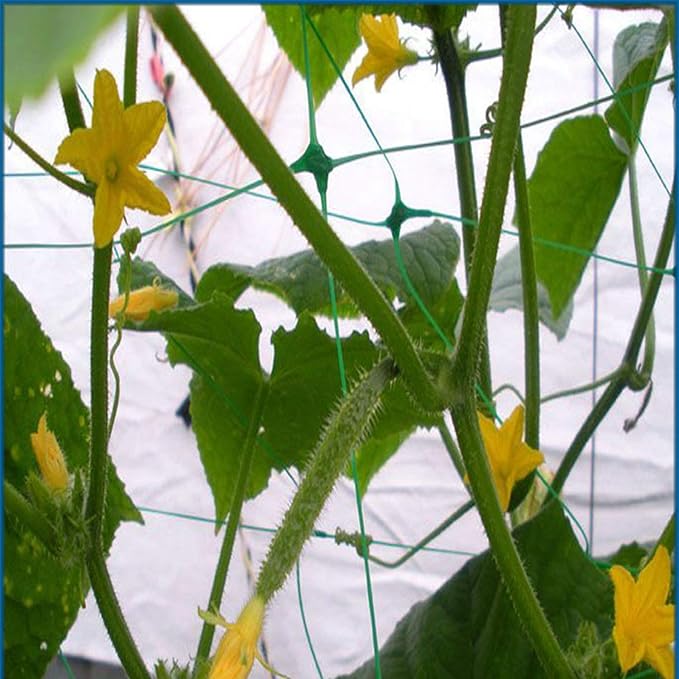 Green Garden Trellis Netting 5x100 ft Heavy Duty Polypropylene Plant Support Net for Climbing Vegetables Fruits Flowers