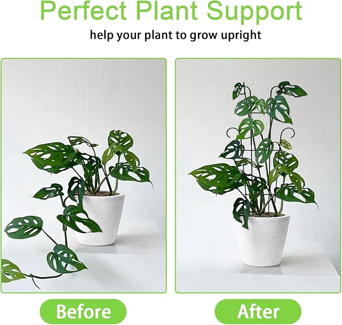 Plant Trellis for Potted Plants 2p, Larger 23in Garden Trellis for Climbing Plants Indoor Outdoor, Rustproof House Plant Support Stakes for Pothos Hoya Ivy Flower