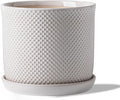 8 Inch Plant Pot: Ceramic Planter with Drainage Hole & Saucer Indoor Outdoor Plants - Flowerpot with Bonded Tray for Home Office - Beaded Embossed Style, Cream White