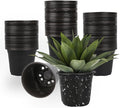 100 Packs Nursery Pots,3 Inches Plastic Nursery Pots for Plants with Drainage Holes, Seed Starting Garden Pots of Flower Plant Container for Succulents, Cuttings, Transplanting (100, 3 Inch)