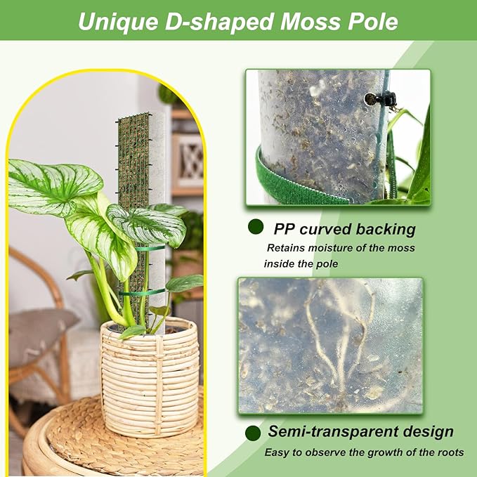 60"/40"/24" Metal Moss Pole, D Shape Sphagnum Moss Pole, Moss Poles for Climbing Plants, Monstera, Indoor Climbing Plants (2 Each of 40" 24")