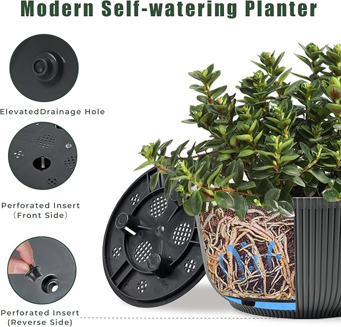 T4U 8 Inch Plant Pots, 2 Pack Self Watering Planter with Drainage Hole, Shallow Plant Pot Indoor, Home Decor Flower Pots for Plants, Cactus, Garden, Gray