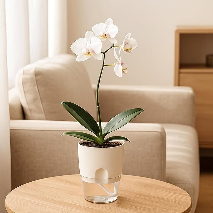 Planterhoma 12 Pack Self Watering Pots for Indoor Plants, 3.2 Inch Plant Pot Plastic Self Watering Planter for Orchid, African Violet, Clear Flower Pots with Drainage Holes and Wicking Rope, White
