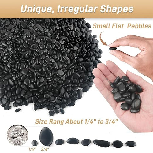 12lb Black Rocks for Planters- 1/4" - 3/4" Polished Black Stones Smooth Flat Pebbles for Fish Tanks Decorative River Rocks for Vases Bonsai Pots Garden Stones for Landscaping and Yards