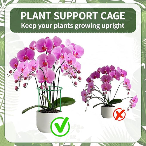 12 Pack Plant Support Stakes Sets - Versatile Plant Cages, Stackable Garden Flower Support， Small Plant Stakes for Indoor Plants,Tomato,Monstera, Peony, Hydrangea, Climbing Plants