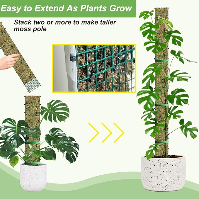 60"/40"/24" Metal Moss Pole, D Shape Sphagnum Moss Pole, Moss Poles for Climbing Plants, Monstera, Indoor Climbing Plants (4Pcs 24")