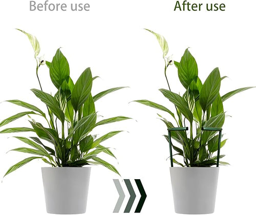 12 Pack Plant Support Stakes with 24 Pcs Clips, Half Round Ring Plastic Cage Holder Flower Pot Climbing Trellis for Small Vegetable,Indoor Plants
