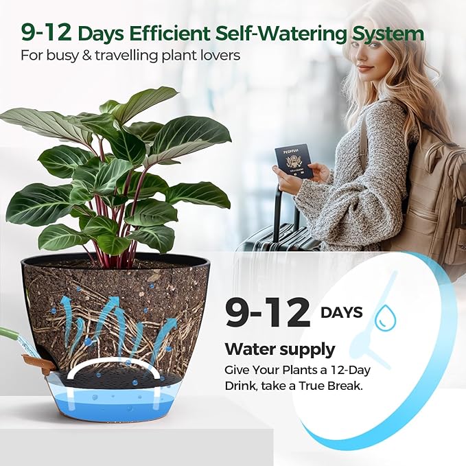 T4U 12 Inch Self Watering Pot - Water Level Indicator & Deep Reservoir, Mess-Free Planter for Busy People, Beginners & Gardeners, Fit Rubber Tree/Fiddle Leaf Fig Plants, Indoor Outdoor Use (Black)