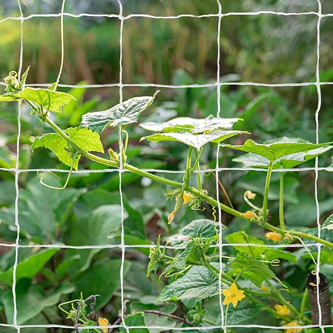 Tcamp Heavy-Duty Polyester Plant Trellis Netting 5 x 30ft (1 Pack) (5 Ft X 30 Ft)