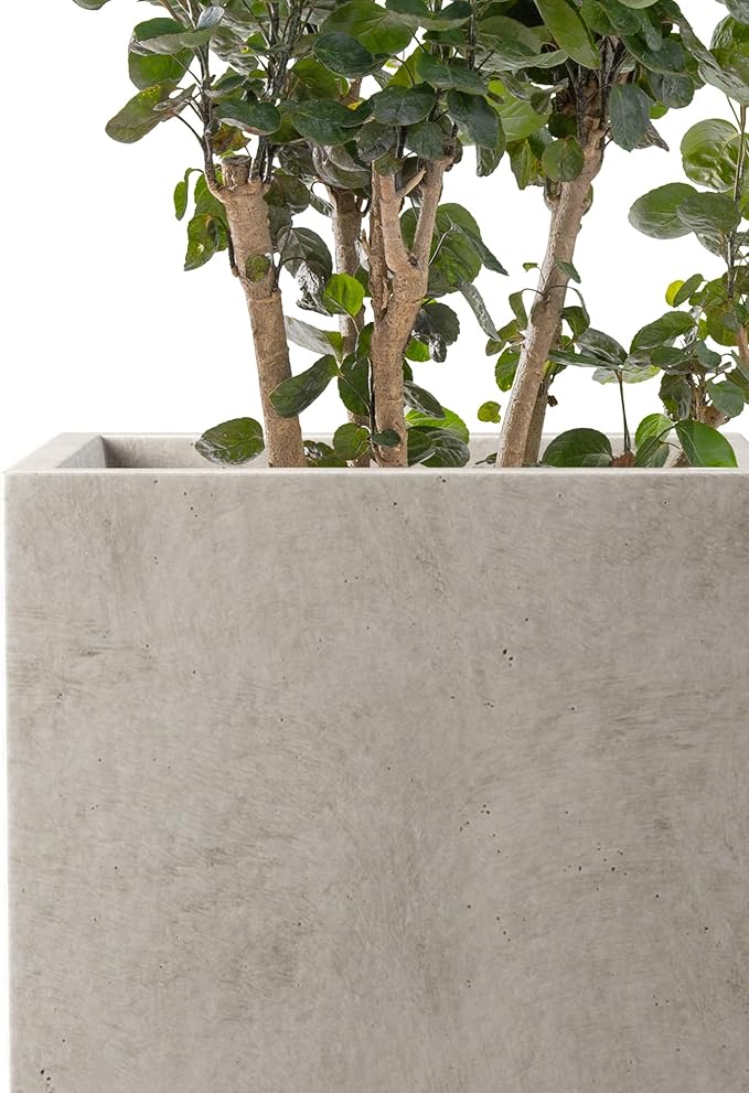 Kante 15.7" H Tall Rectangular Concrete Planters, Outdoor Indoor Lightweight Plant Pots with Drainage Hole and Rubber Plug, Modern Style for Home Garden Patio, Weathered Concrete