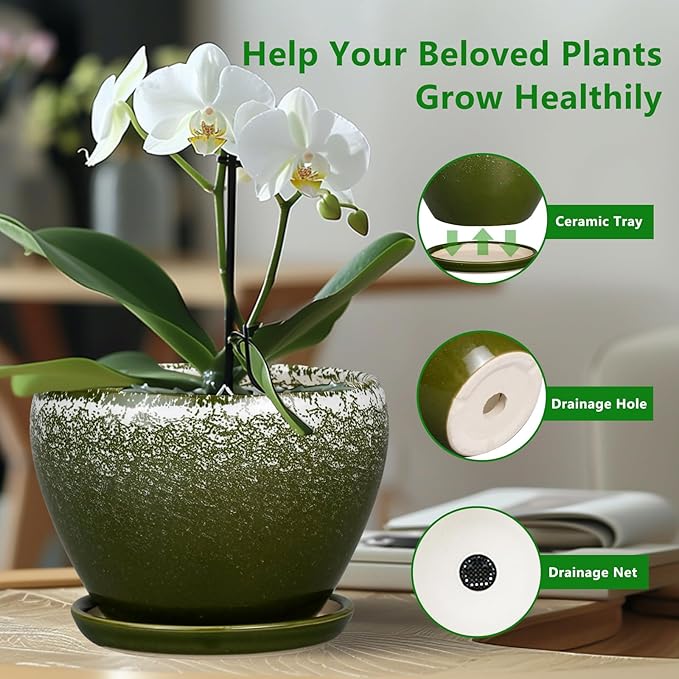 6 Inch Plant Pot - Ceramic Planter Pot with Drainage Hole and Saucer, Glaze Succulent Pot Modern Round Flower Pot for Indoor Plants, Dark Green
