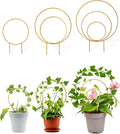 Unique Round Hoya Trellis, 3 Pcs Different Small Houseplant Trellis for Indoor Climbing Plant, Garden Trellis Plant Support for Potted Ivy and Flowers Outdoor(Gold)