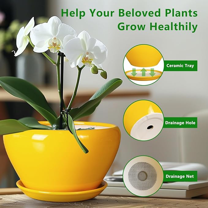 Indoor Planter 11 Inch - Decorative Mid-Century Large Ceramic Plant Pot for Outdoor Plants with Drainage Hole and Saucer, Home Balcony House Garden Patio Office Room Decor, Yellow