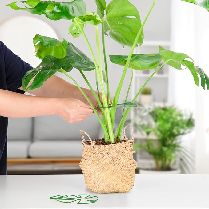 10PCS Iron Monstera Plant Support, Uniquely Designed Indoor Plant Accessories, Stable Plant Support Stakes for Indoor Plant, Turtle Shell Bamboo Clamp Set for Thriving Growth