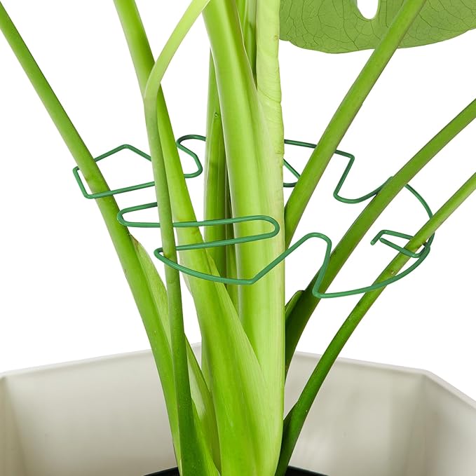 10PCS Iron Monstera Plant Support, Uniquely Designed Indoor Plant Accessories, Stable Plant Support Stakes for Indoor Plant, Turtle Shell Bamboo Clamp Set for Thriving Growth