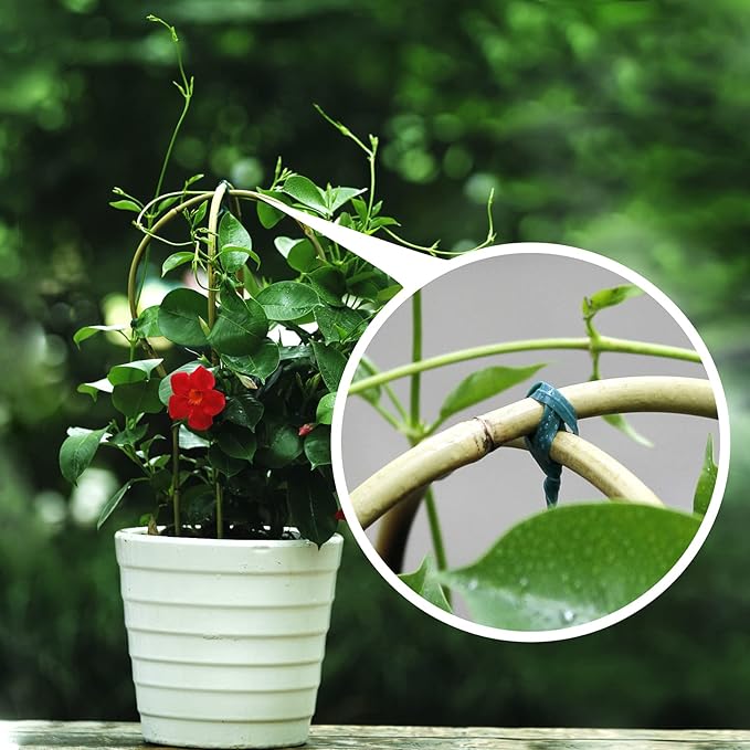 Plant Trellis Indoor 16in, Loop-Shaped Bamboo Trellis - 3 Pack for Climbing Plants, Hoya, Potted Plants