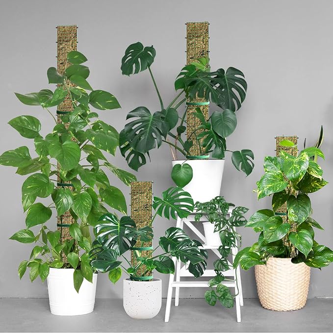 60"/40"/24" Metal Moss Pole, D Shape Sphagnum Moss Pole, Moss Poles for Climbing Plants, Monstera, Indoor Climbing Plants(4Pcs 40")