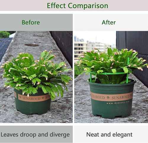 12 Packs Plant Support Stakes, Plant Support with Garden Wire Ties for Indoor Plants, Plastic Stackable Garden Flower Support, Plant Stakes for Tomato, Monstera, Peony, Hydrangea Climbing Plants
