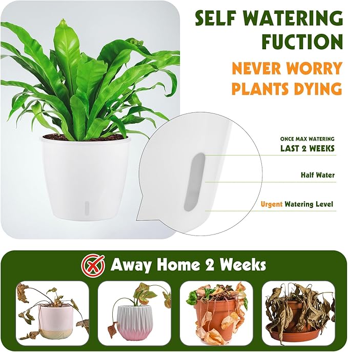 8-Pack 5 Inch Self Watering Pots, Indoor Planter with Indicator, Transparent Wick Pot for Orchids, Small African Violet Pot, for Plants