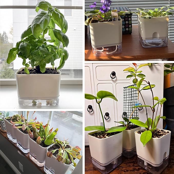 Planterhoma Self Watering Plant Pots for Indoor Plants 4.3 inch, 6 Packs Square Self-Watering Planters with Drainage Hole, White African Violet Pots for Devil's Ivy, Spider Plant, Orchid, Herb