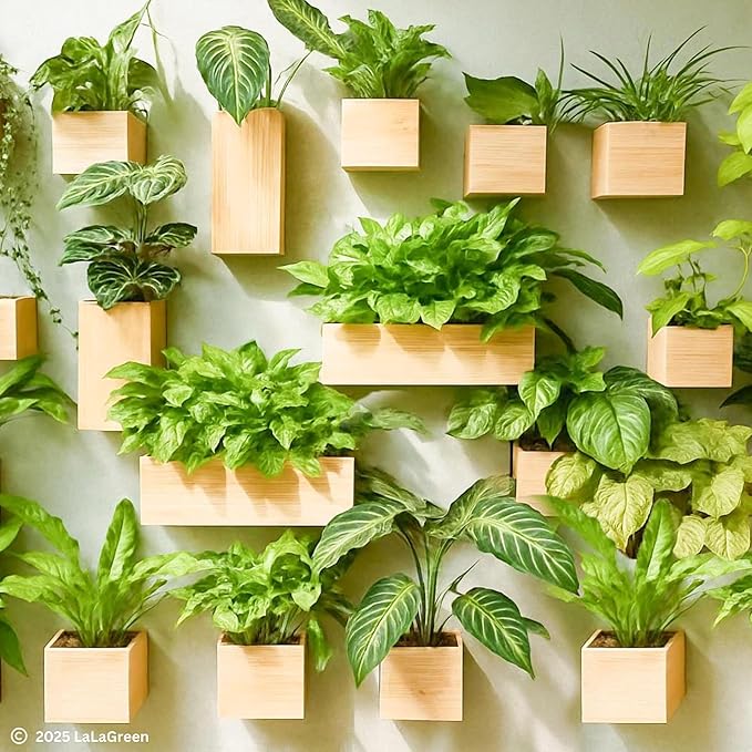 LaLaGreen Wooden Planter Box for Plants (4x4 Inch, 6 Pack) Small Square Wall Planters for Indoor Plant, Natural Wood Hanging Flower Boxes Herb Planter Table Centerpiece Modern Home Garden Office Decor