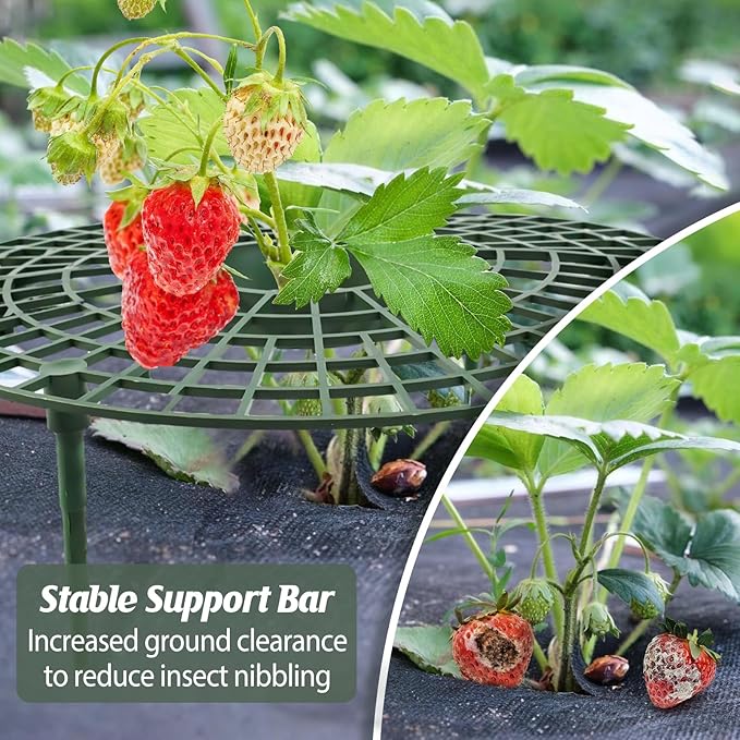 6 Sets Strawberry Plant Support with Mesh Plant Cover,Strawberry Growing Racks Sets with Iron Plant Nails and Storage Bag for Garden Strawberry Vegetables(White Net - Round)