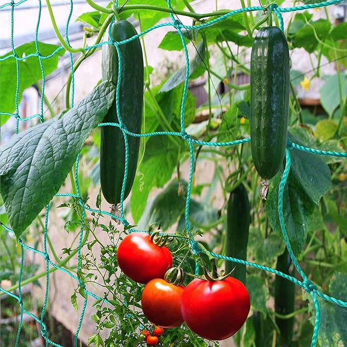 Trellis Netting for Climbing Plants - Heavy Duty Garden Trellis Netting for Cucumber, Vine, Fruits & Vegetables Tomato Plants Trellis Net, Climbing Vining Plants (1-Pack 8.2' x 6.6'Ft)