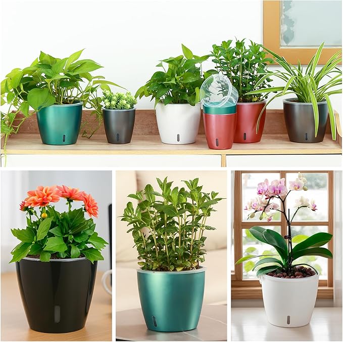 Self-Watering Pots for Indoor Plants, 12-Pack 5'' Self Watering Planter with Drainage Holes, Small African Violet Pots with Water Indicator, Clear Wick Pot, White