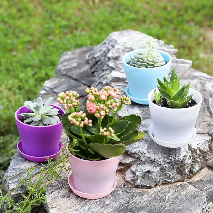 TDHDIKE 10 Pcs Plastic Planters Indoor Flower Plant Pots, Mini Flower Seedlings Nursery Pot/Planter/Flower Pot with Pallet, Modern Decorative Gardening Containers (White)